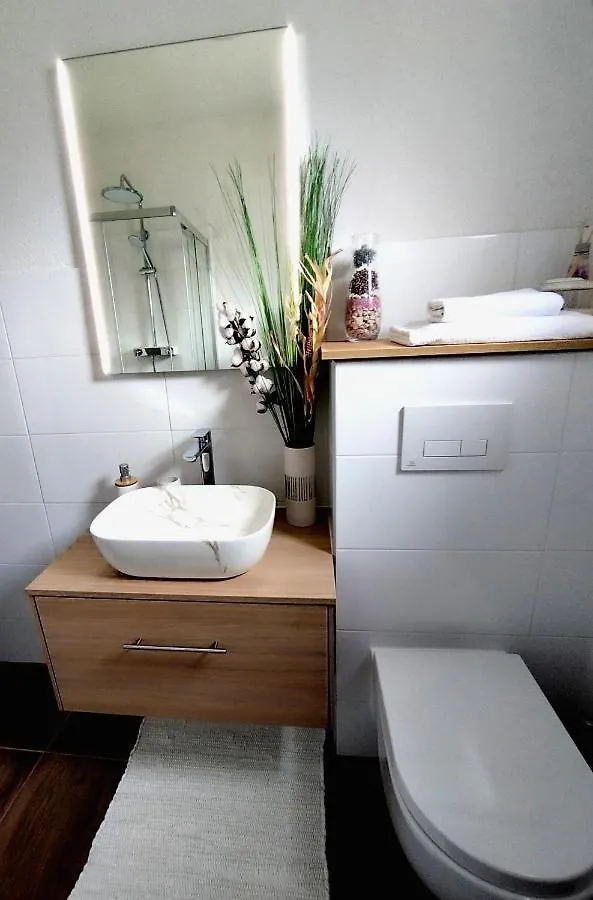 Apartments Iris Вир Хорватия