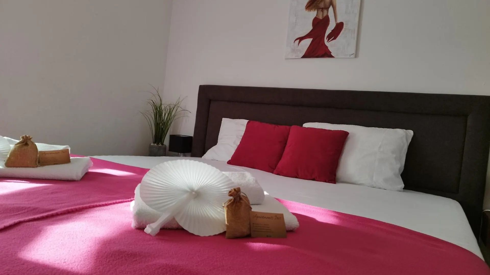 Apartments Iris Вир